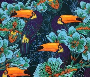 Orange Navy Blue Toucan Bird Patterned Fabric