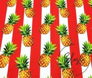 Red Thick Line Pineapples Patterned Sofa Fabric
