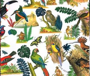 White Fabric with Forest Birds and Parrot Pattern